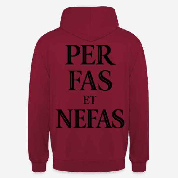 PER FAS ET NEFAS Hoodie in bordeaux mit Rückendruck